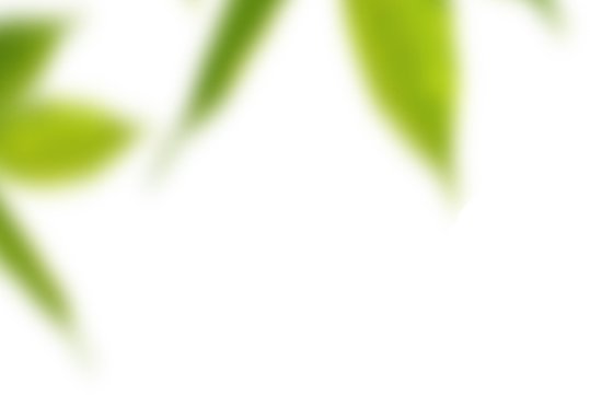 revslider_h16_leaf.png